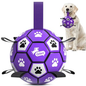 Purple Dog Soccer Ball with Straps??Large Dogs ?C 8 inch
