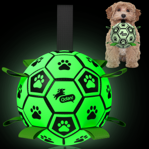 Mint Glow Dog Soccer Ball with Straps | Medium Dogs ?C 6 inch
