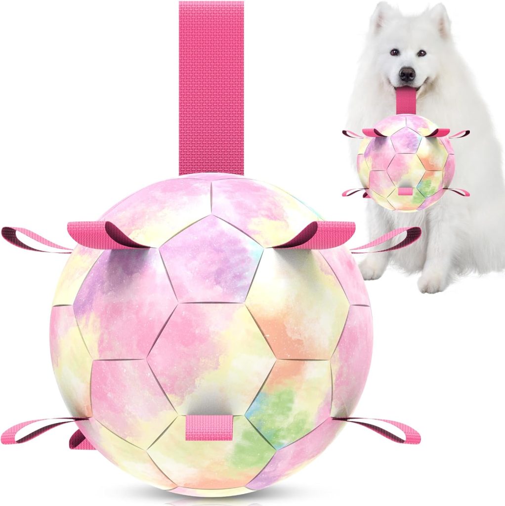 Gradient Rainbow Dog Soccer Ball with Straps | Extra Large Dogs ?C 9 inch