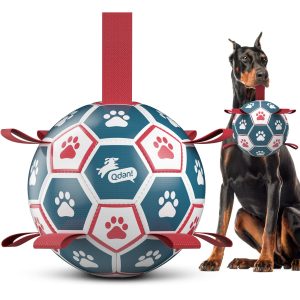Blue Red Dog Soccer Ball with Straps | Giant Dogs ?C 10 inch