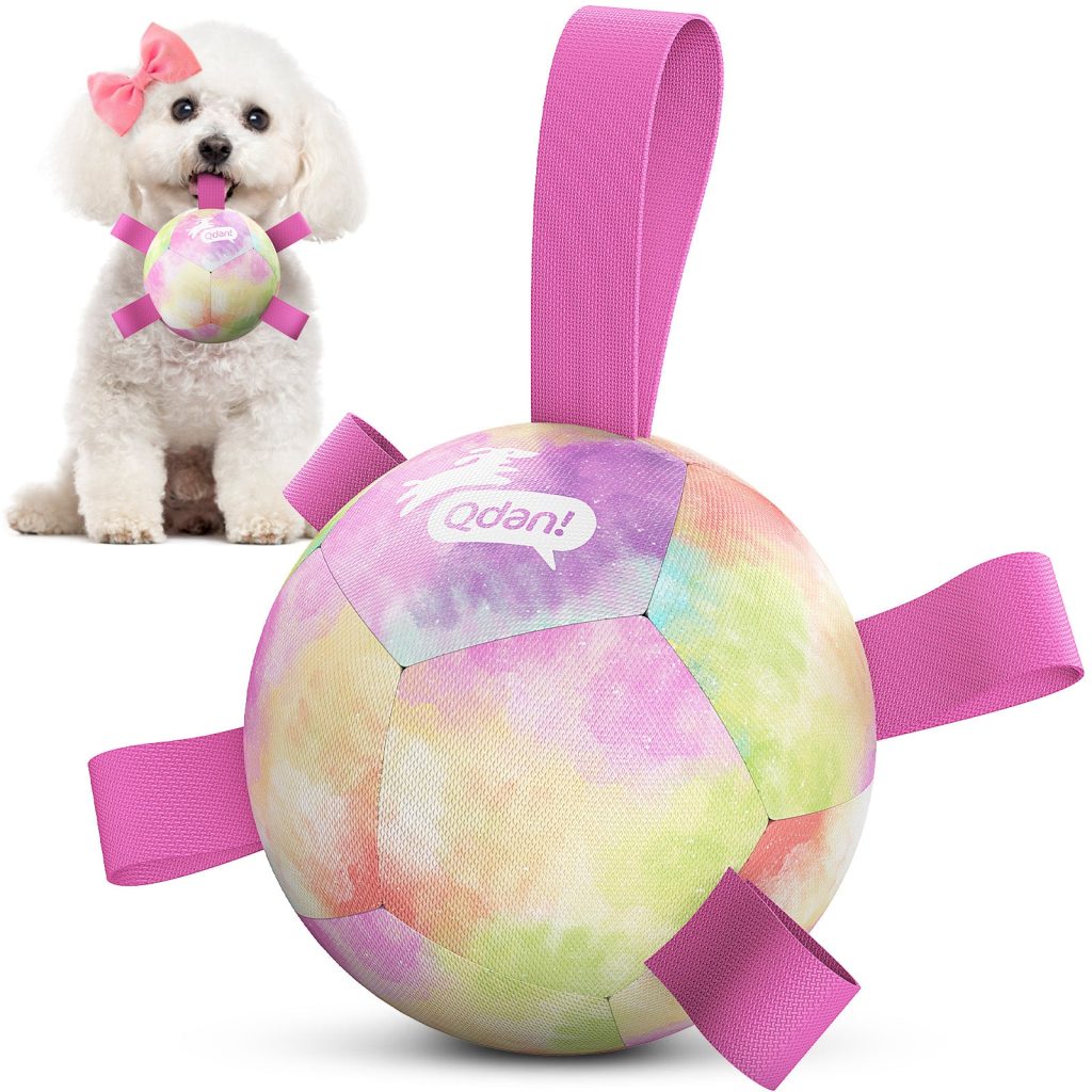 Gradient Rainbow Dog Soccer Ball with Straps - 5 inch to 9 inch