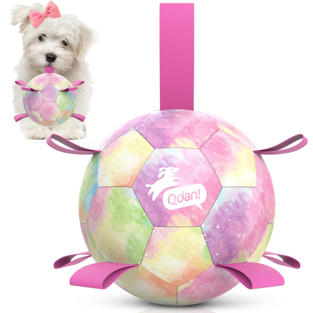 Gradient Rainbow Dog Soccer Ball with Straps | Medium Dogs ?C 6 inch